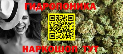 шишки Пугачёв